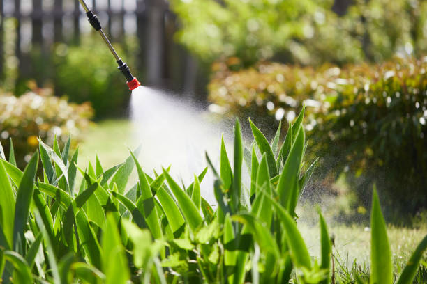 24/7 Emergency Wasp Removal experts in West Cape May, NJ
