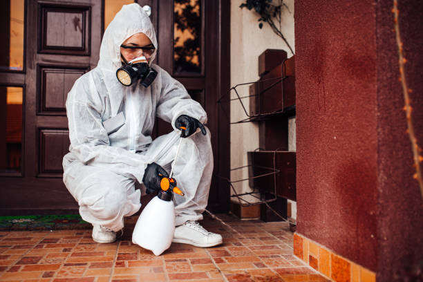 Reliable Wasp Removal contractor in West Cape May, NJ by Show Me Pest Control